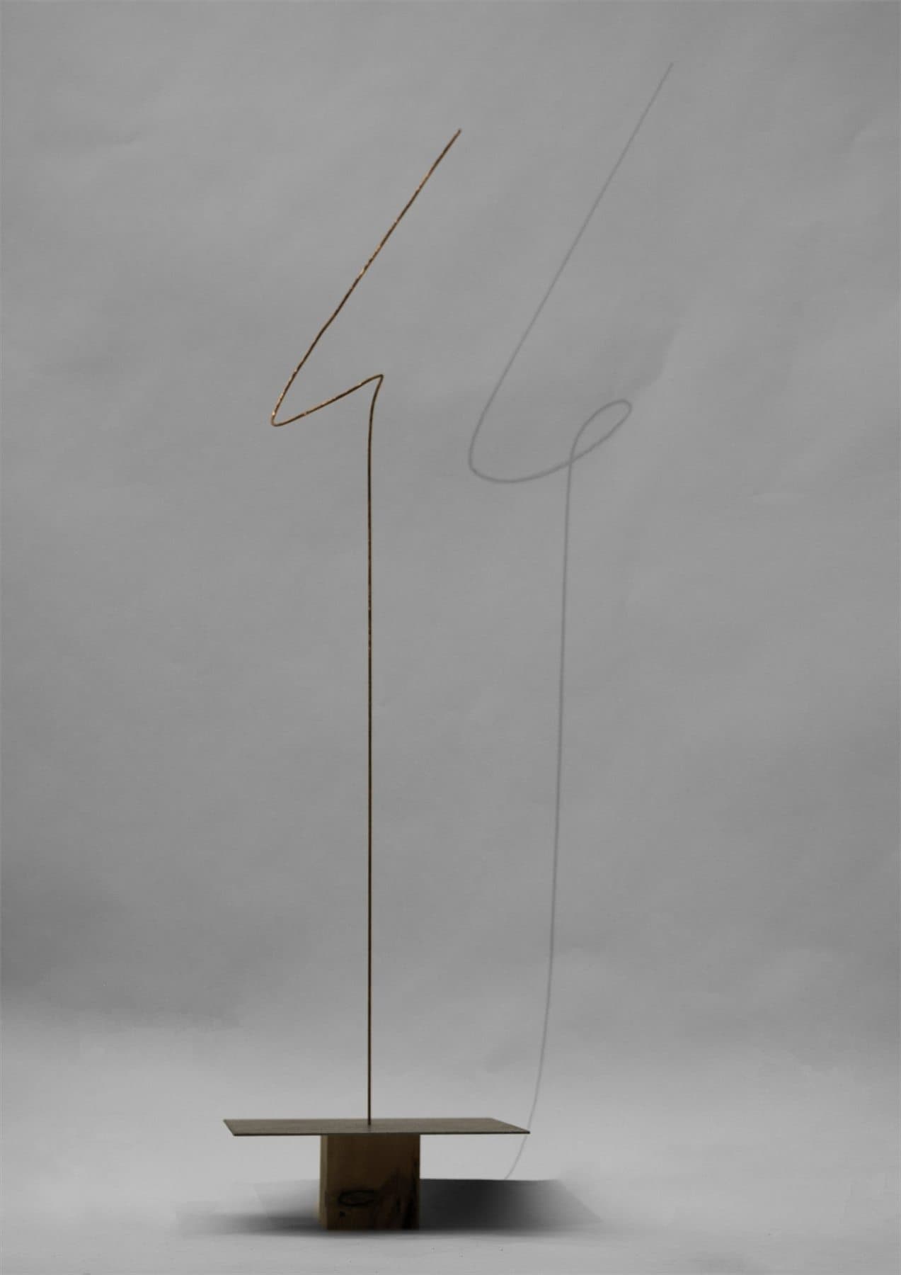 POETRY OF THE CURVED LINE